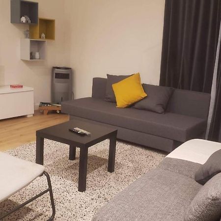 Le Huppe, Hypercentre, Proche Bastille, Wifi Illimite & Netflix 格勒诺布尔 外观 照片